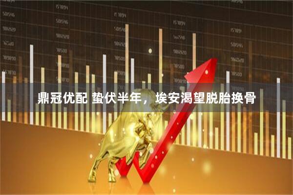 鼎冠优配 蛰伏半年，埃安渴望脱胎换骨